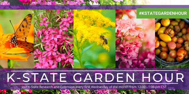 Garden hour banner with five plant images