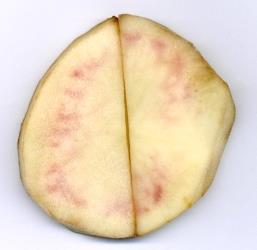internal potato darkening