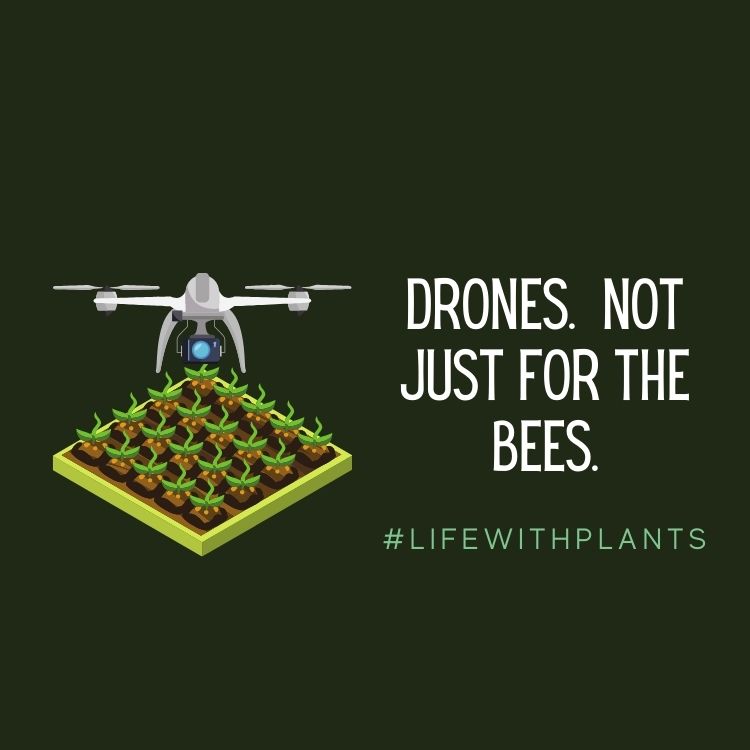 Drone Use in Horticulture