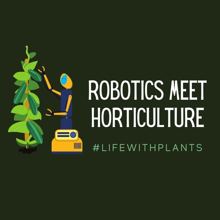 Robotics in Horticulture