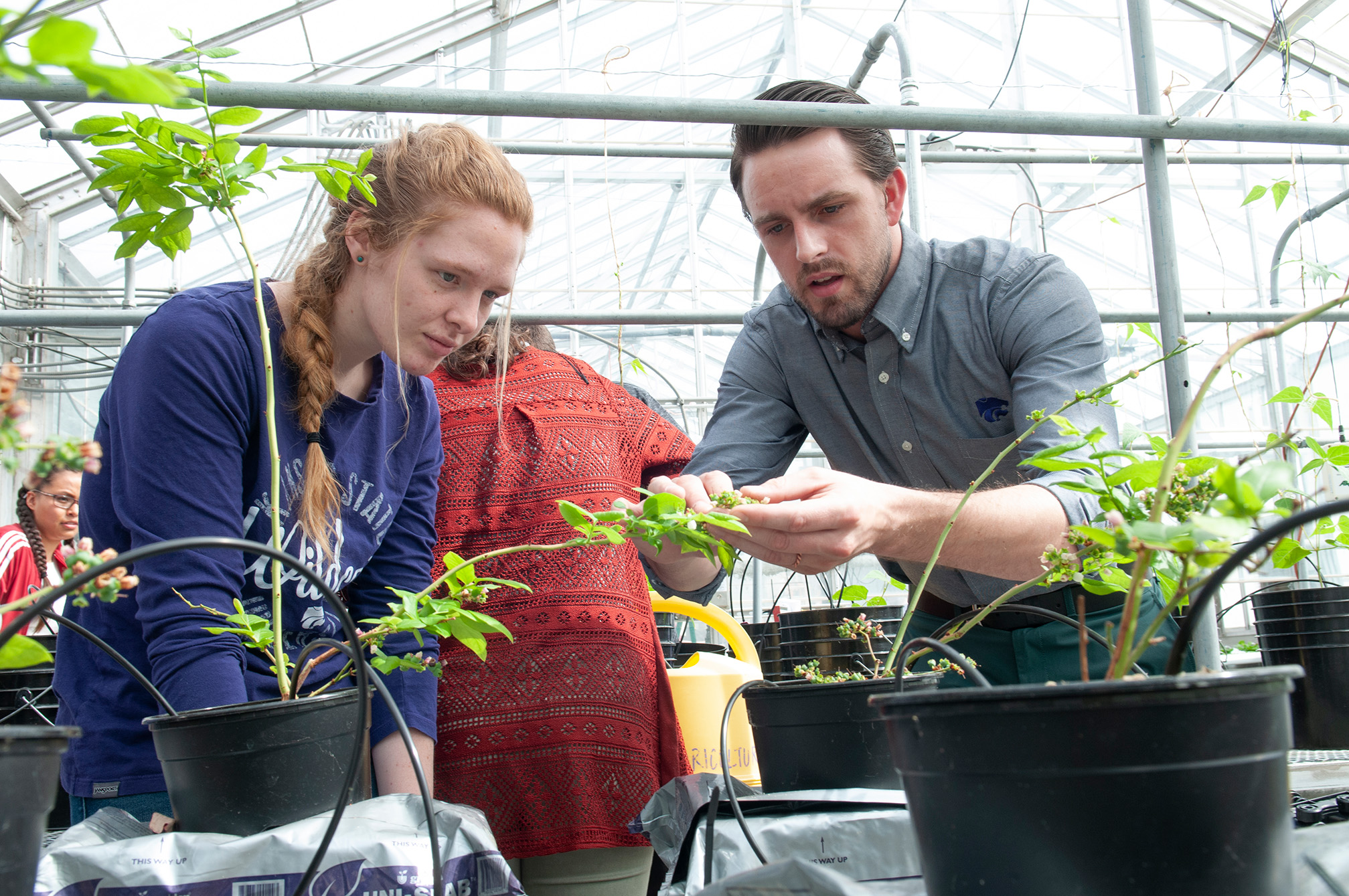 Researchers discussing plant health
