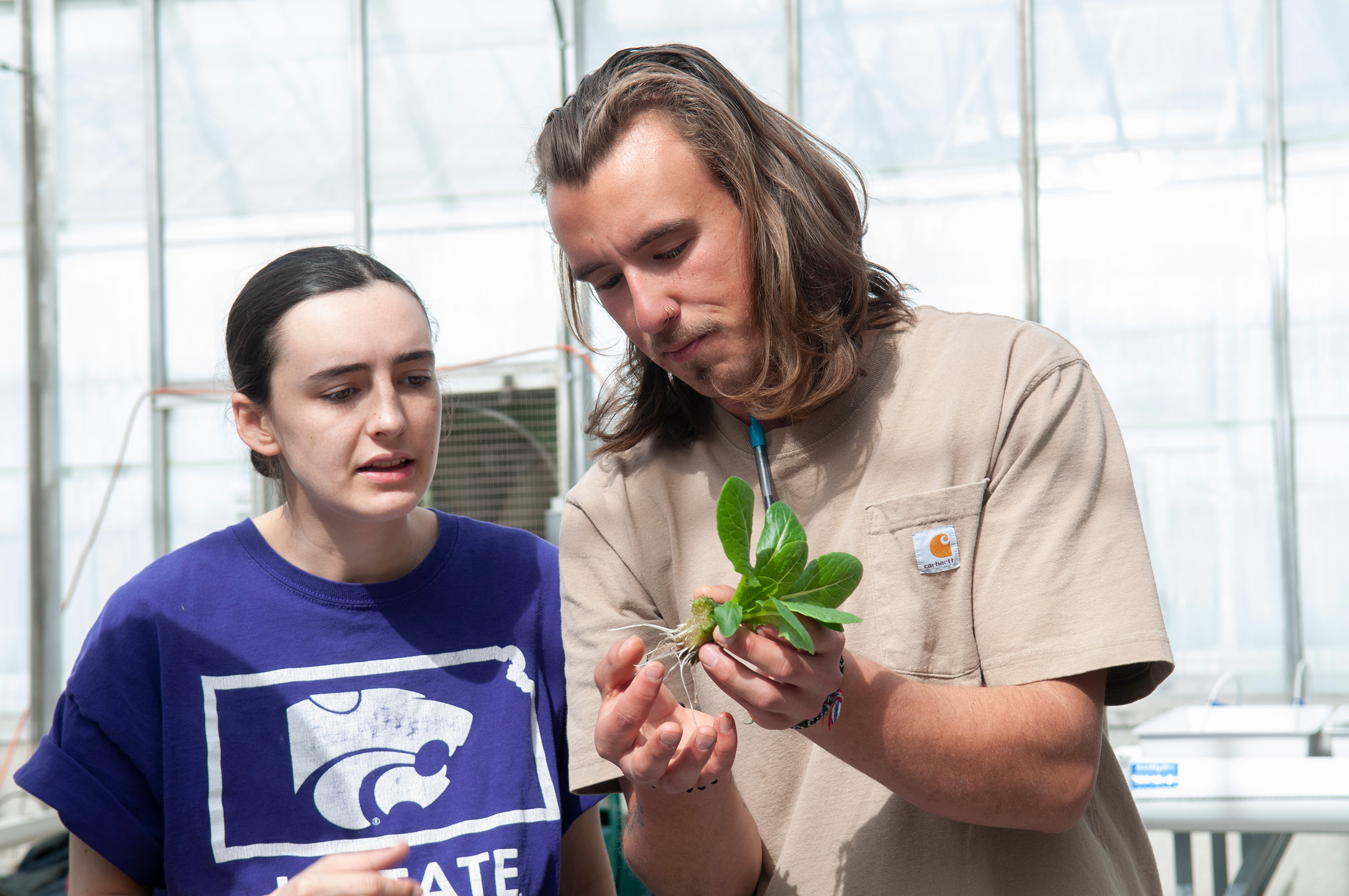 students discussing plant root health