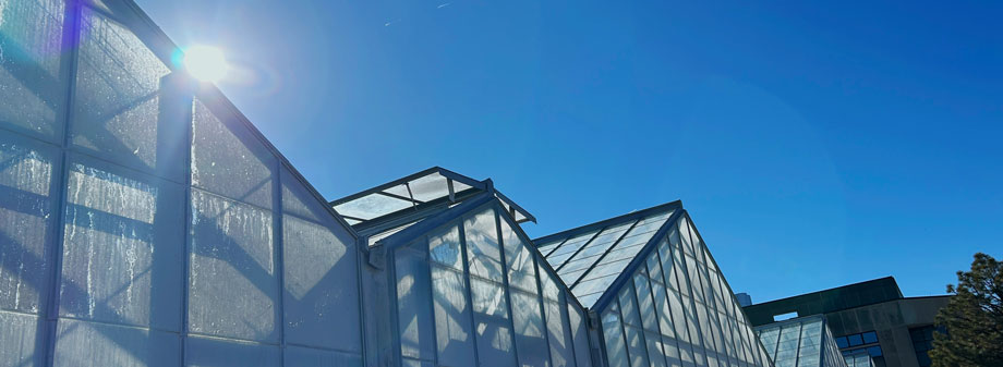 greenhouses